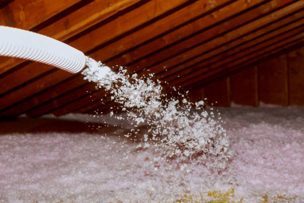 Best Energy Efficiency Insulation in Sam Rayburn, TX