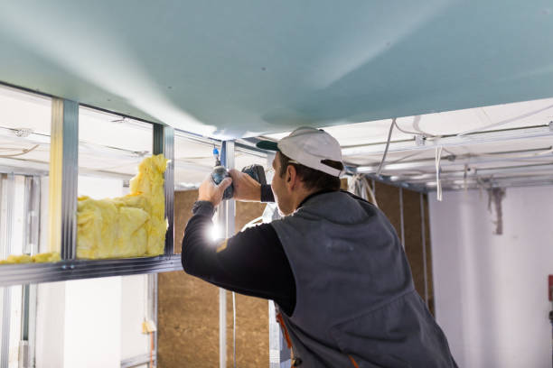 Best Cellulose Insulation in Sam Rayburn, TX