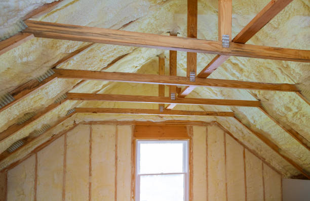 Best Spray Foam Insulation in Sam Rayburn, TX