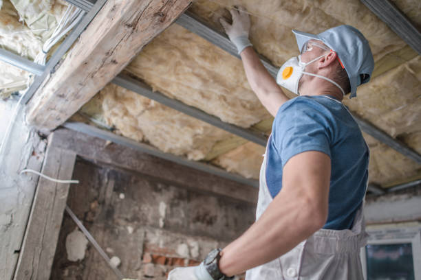  Sam Rayburn, TX Insulation Contractor Pros