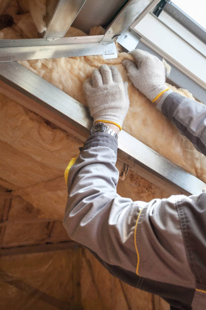Best Geographic-Specific Insulation Services in Sam Rayburn, TX