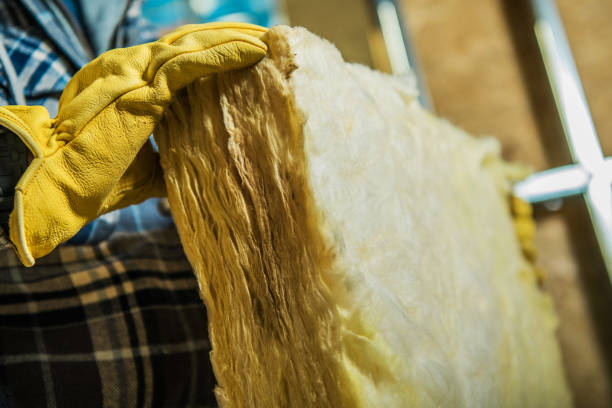 Best Eco-Friendly Insulation in Sam Rayburn, TX