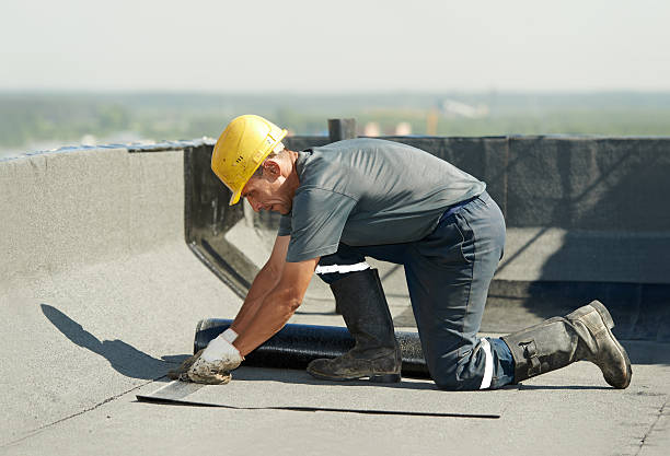 Best Specialized Insulation Services in Sam Rayburn, TX
