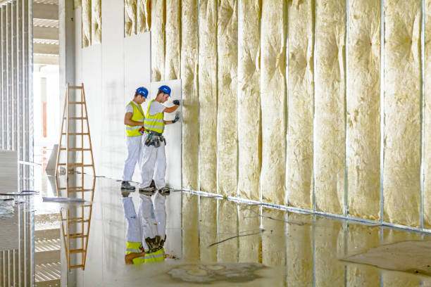 Best Insulation Maintenance and Repair in Sam Rayburn, TX